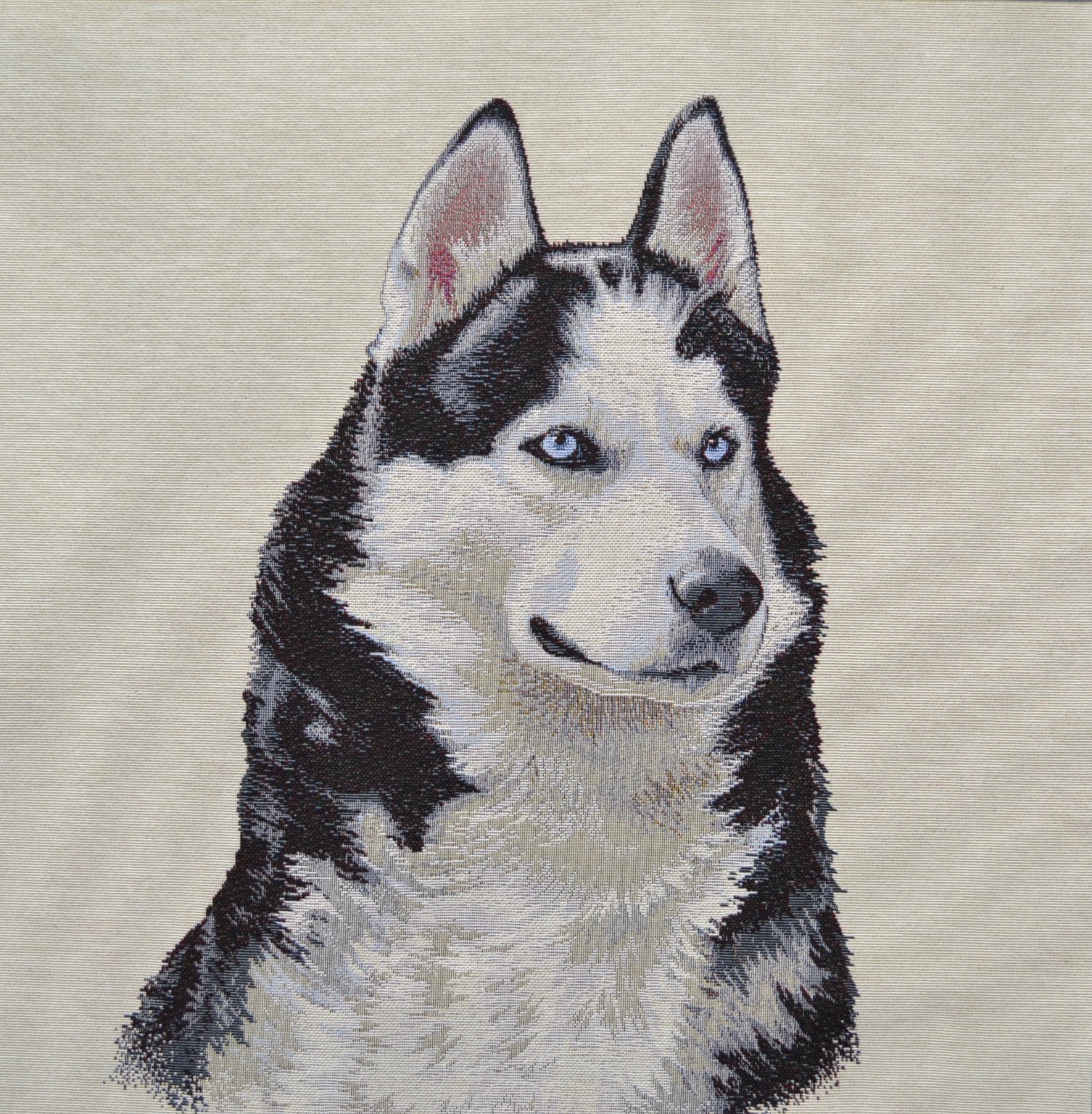 Carré - Husky