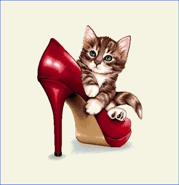 Carré - Chaton et chaussure