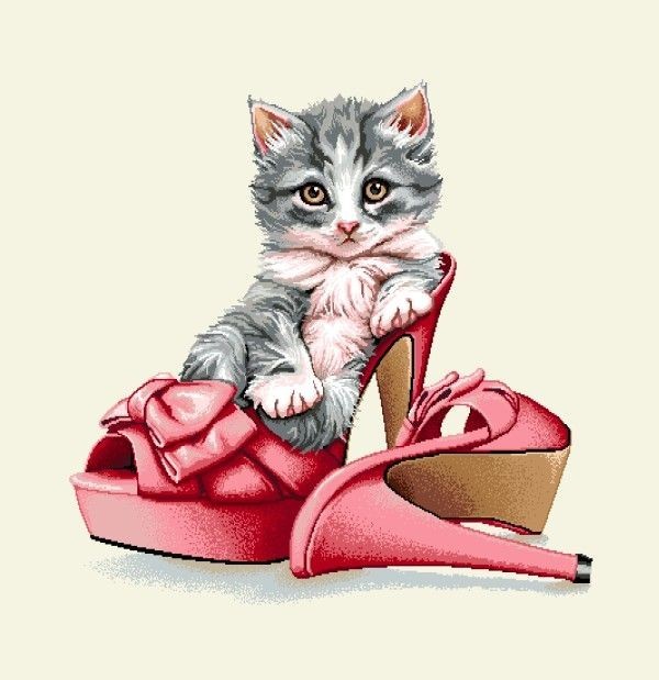 Carré - Chaton et paire de chaussure