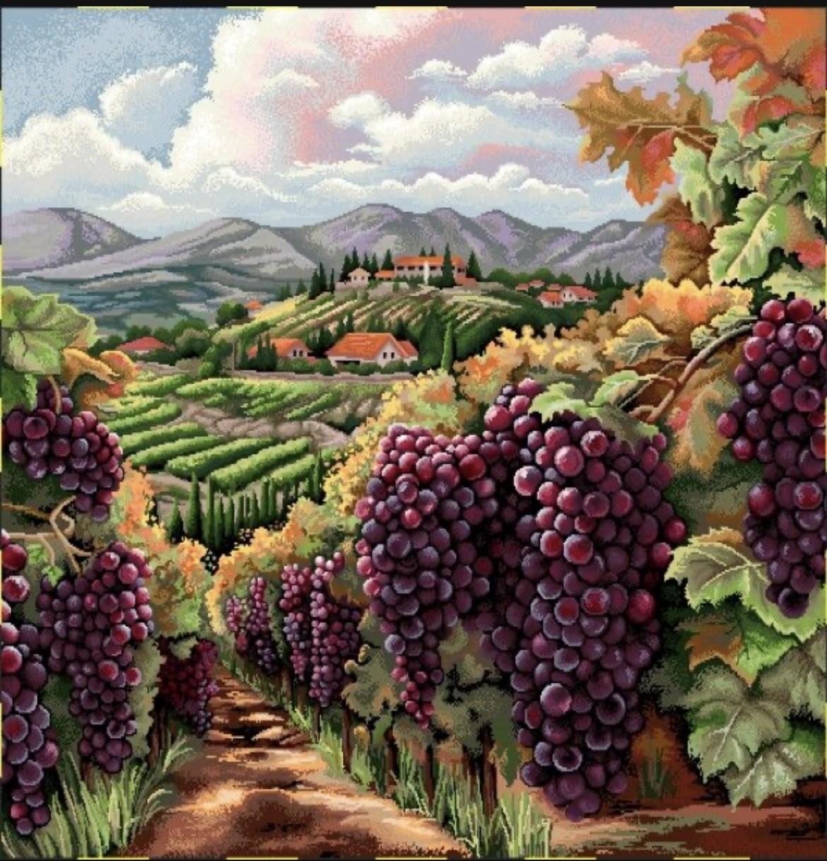 Carre-vignes