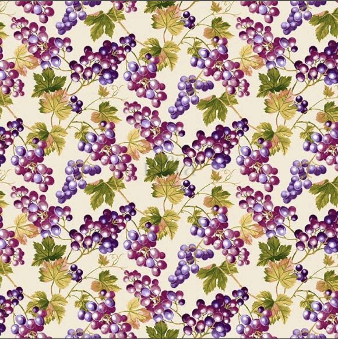 Coton150- Raisin