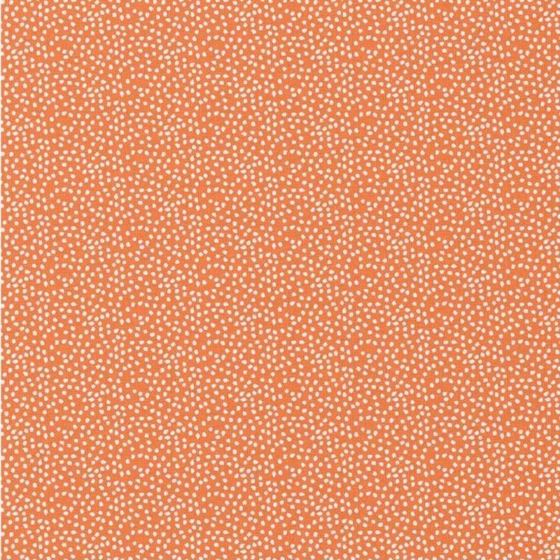 Coton150- Pois fond orange