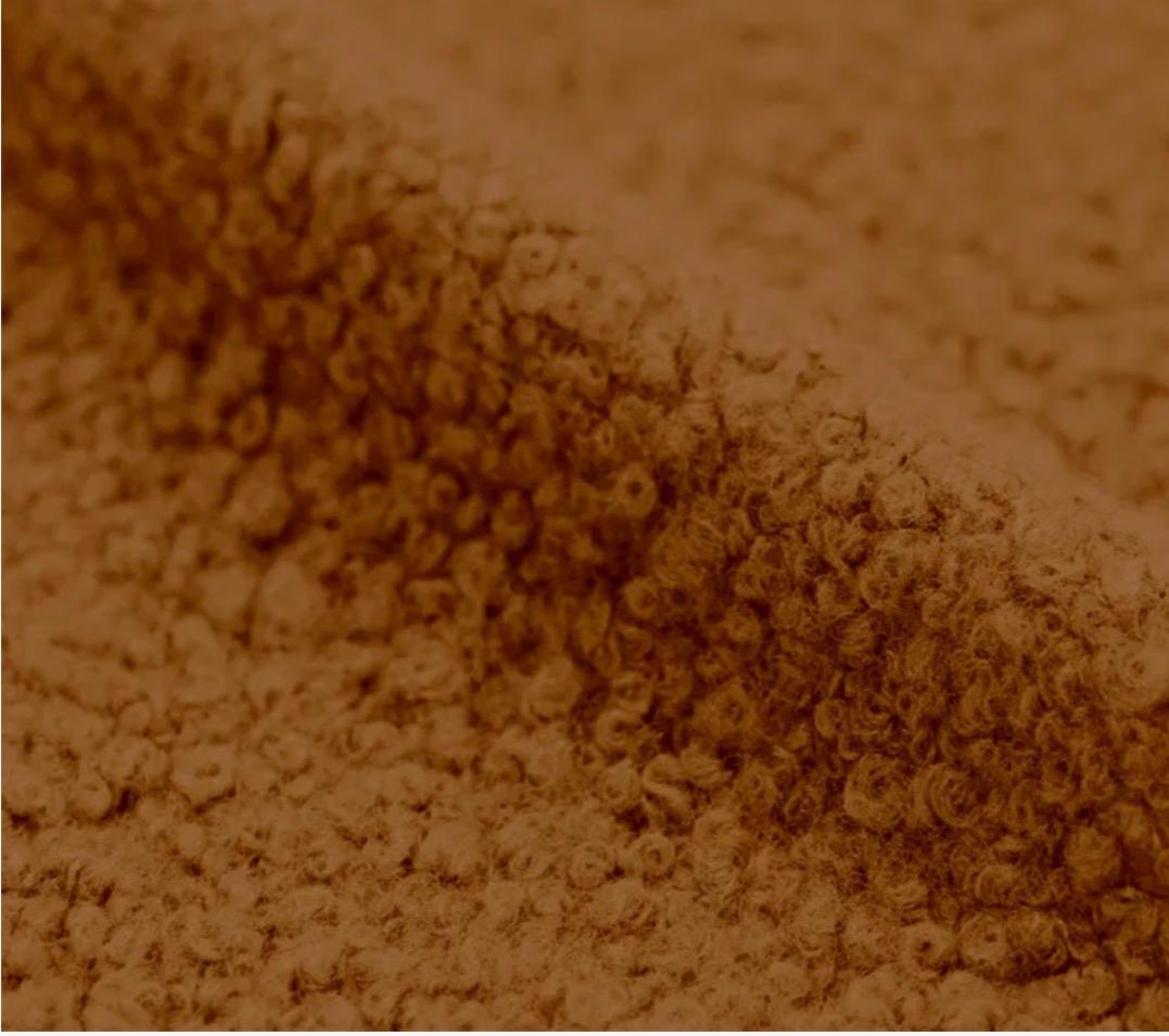 Curly-fleece noisette